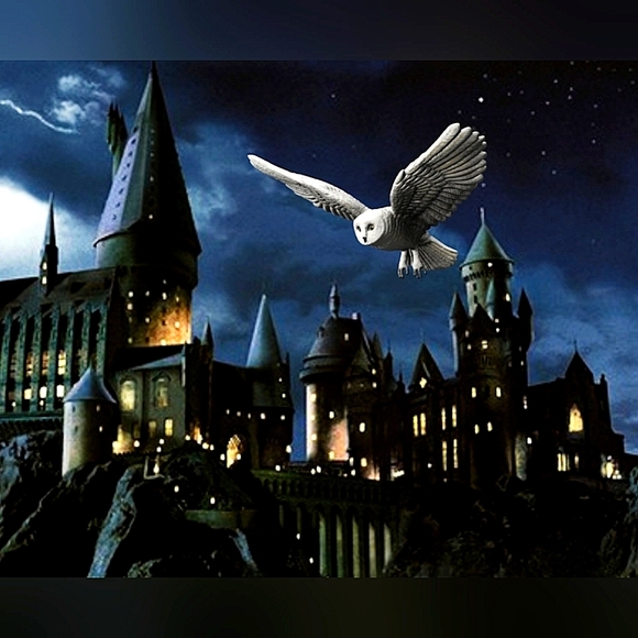 Harry Potter Luggage Trolley w/ His Trunk & His Loyal Snow White Owl Hedwig Orna - Picture 4 of 16